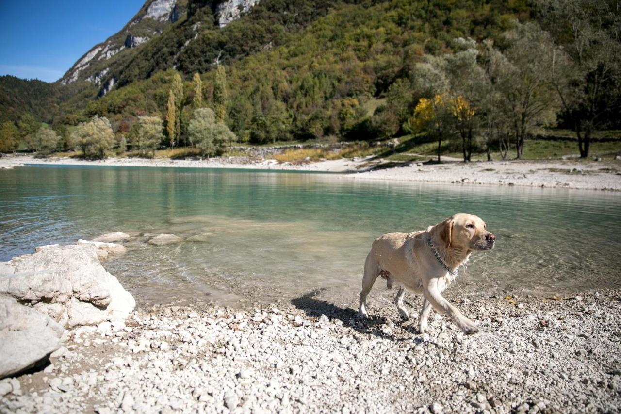 Al Trovante Tenno Esterno foto